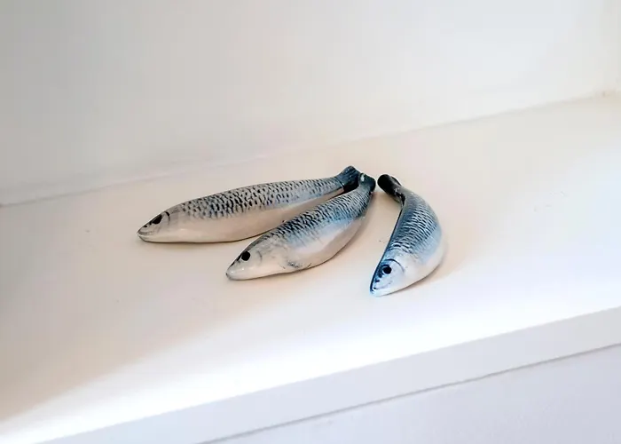 Διαμέρισμα Balbi Ρόβινι