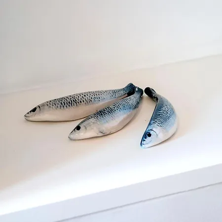 Apartament Balbi Rovinj